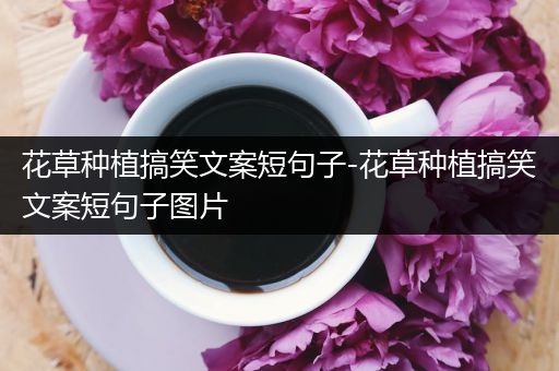 花草种植搞笑文案短句子-花草种植搞笑文案短句子图片