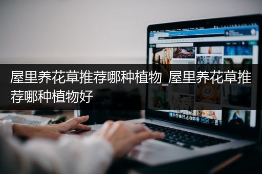屋里养花草推荐哪种植物_屋里养花草推荐哪种植物好