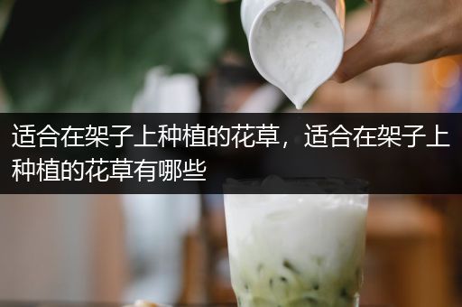 适合在架子上种植的花草，适合在架子上种植的花草有哪些