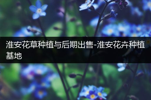 淮安花草种植与后期出售-淮安花卉种植基地