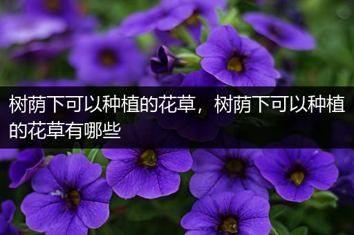 树荫下可以种植的花草，树荫下可以种植的花草有哪些