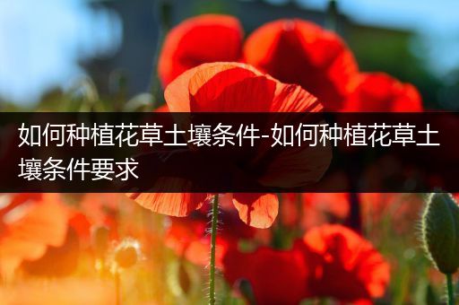 如何种植花草土壤条件-如何种植花草土壤条件要求