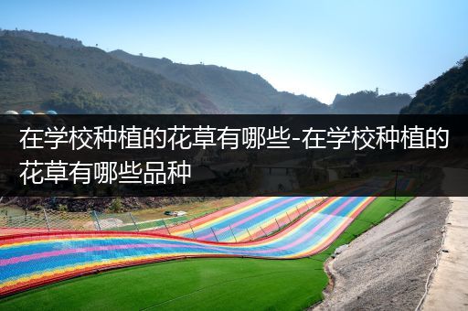 在学校种植的花草有哪些-在学校种植的花草有哪些品种