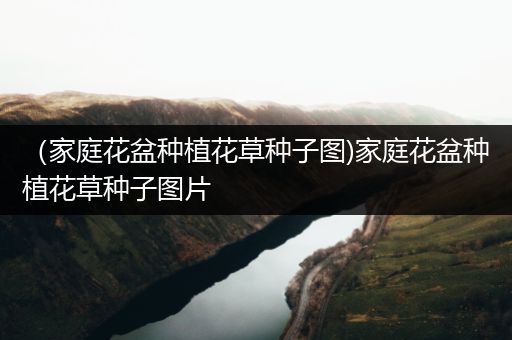 （家庭花盆种植花草种子图)家庭花盆种植花草种子图片