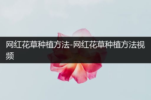 网红花草种植方法-网红花草种植方法视频