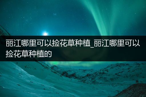 丽江哪里可以捡花草种植_丽江哪里可以捡花草种植的