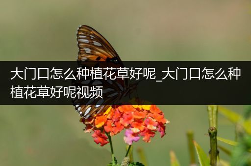 大门口怎么种植花草好呢_大门口怎么种植花草好呢视频