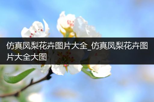 仿真凤梨花卉图片大全_仿真凤梨花卉图片大全大图