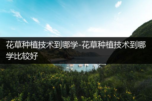 花草种植技术到哪学-花草种植技术到哪学比较好