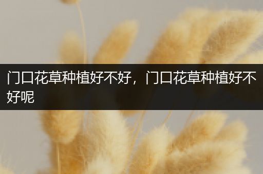 门口花草种植好不好，门口花草种植好不好呢