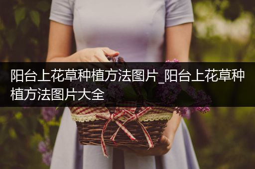阳台上花草种植方法图片_阳台上花草种植方法图片大全