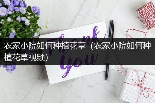 农家小院如何种植花草（农家小院如何种植花草视频）
