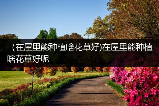 （在屋里能种植啥花草好)在屋里能种植啥花草好呢