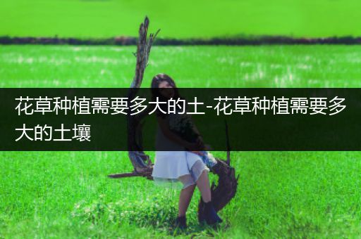 花草种植需要多大的土-花草种植需要多大的土壤