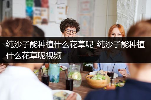 纯沙子能种植什么花草呢_纯沙子能种植什么花草呢视频