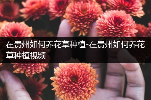 在贵州如何养花草种植-在贵州如何养花草种植视频