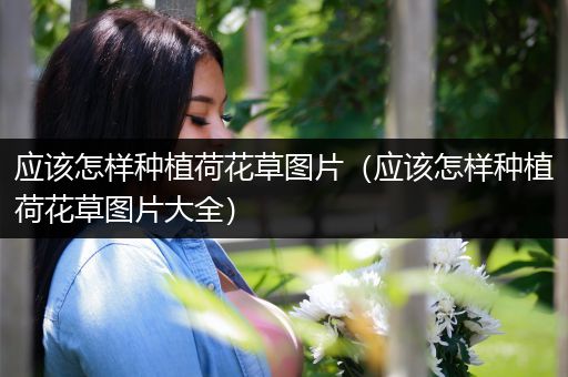 应该怎样种植荷花草图片（应该怎样种植荷花草图片大全）