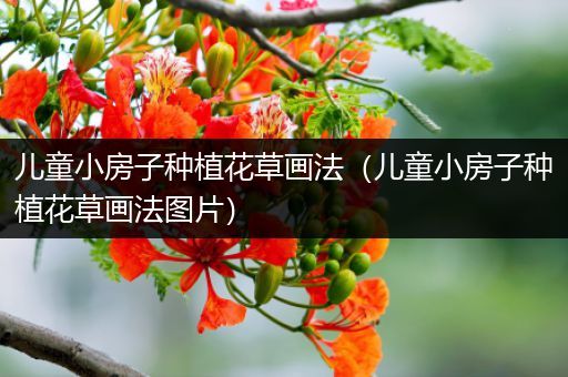 儿童小房子种植花草画法（儿童小房子种植花草画法图片）