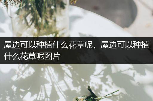 屋边可以种植什么花草呢，屋边可以种植什么花草呢图片