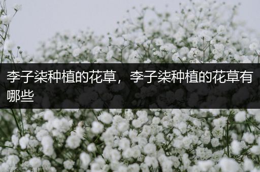李子柒种植的花草，李子柒种植的花草有哪些