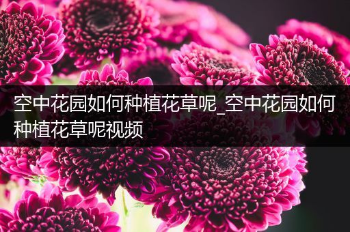 空中花园如何种植花草呢_空中花园如何种植花草呢视频