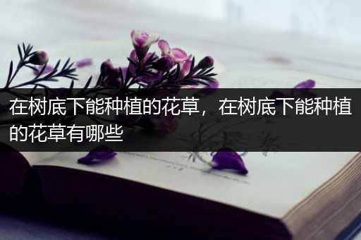 在树底下能种植的花草，在树底下能种植的花草有哪些