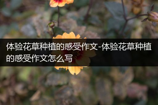 体验花草种植的感受作文-体验花草种植的感受作文怎么写