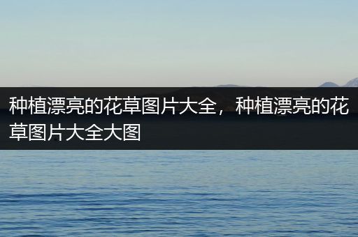 种植漂亮的花草图片大全，种植漂亮的花草图片大全大图