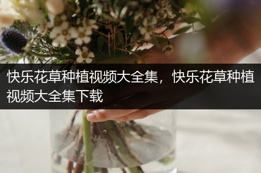 快乐花草种植视频大全集，快乐花草种植视频大全集下载