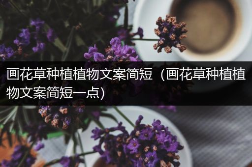 画花草种植植物文案简短（画花草种植植物文案简短一点）