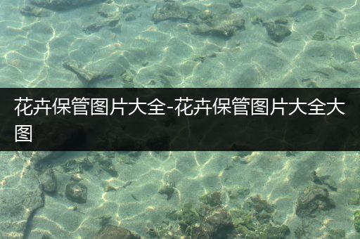 花卉保管图片大全-花卉保管图片大全大图