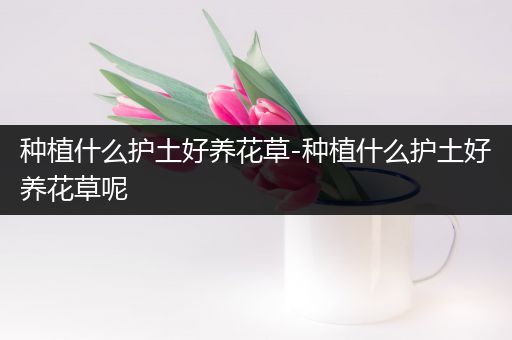 种植什么护土好养花草-种植什么护土好养花草呢
