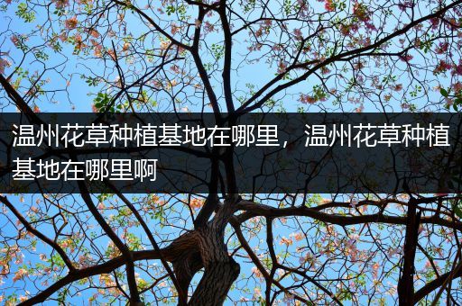 温州花草种植基地在哪里，温州花草种植基地在哪里啊