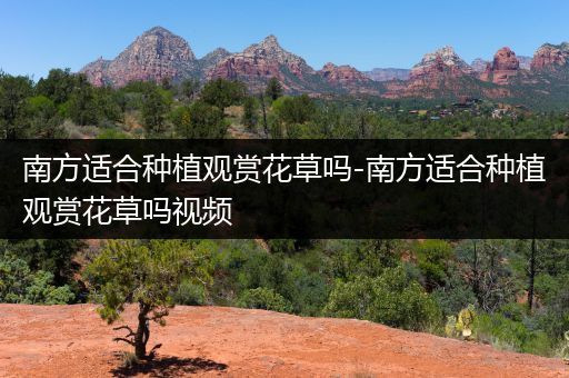 南方适合种植观赏花草吗-南方适合种植观赏花草吗视频