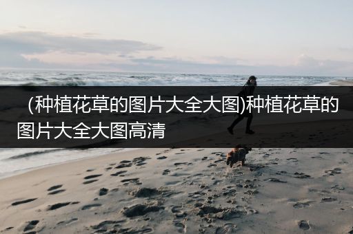 （种植花草的图片大全大图)种植花草的图片大全大图高清