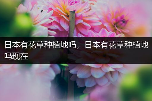 日本有花草种植地吗，日本有花草种植地吗现在
