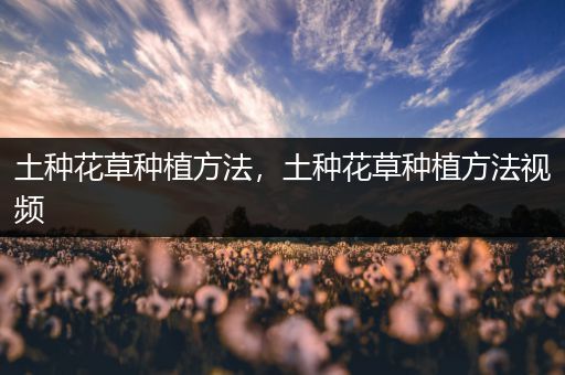 土种花草种植方法，土种花草种植方法视频