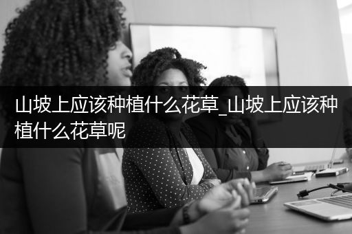 山坡上应该种植什么花草_山坡上应该种植什么花草呢