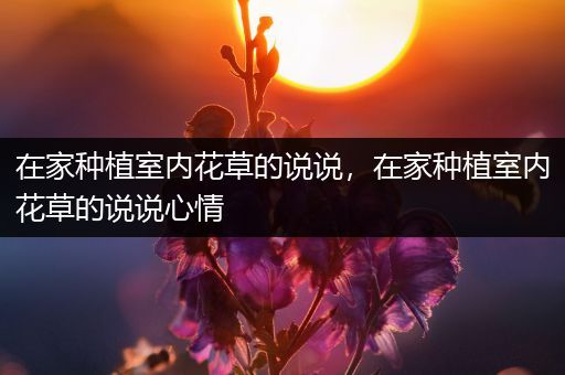 在家种植室内花草的说说，在家种植室内花草的说说心情