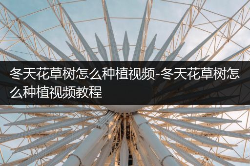 冬天花草树怎么种植视频-冬天花草树怎么种植视频教程