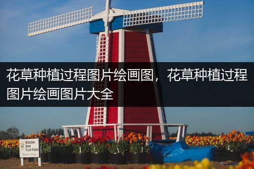 花草种植过程图片绘画图，花草种植过程图片绘画图片大全