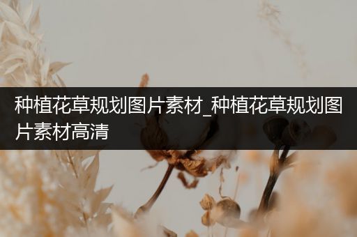 种植花草规划图片素材_种植花草规划图片素材高清