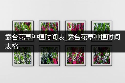 露台花草种植时间表_露台花草种植时间表格