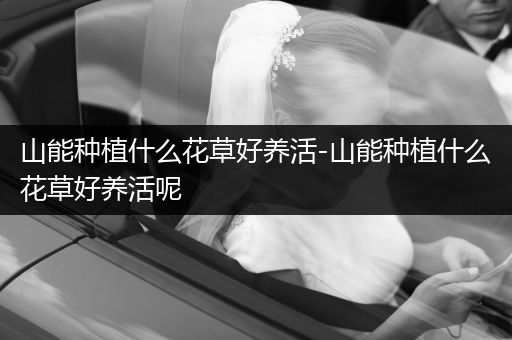 山能种植什么花草好养活-山能种植什么花草好养活呢