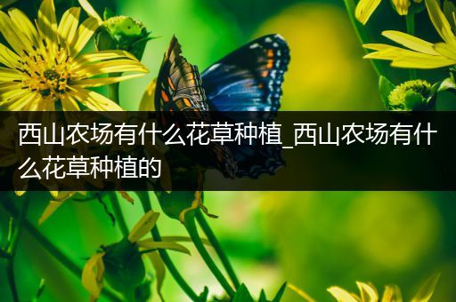 西山农场有什么花草种植_西山农场有什么花草种植的