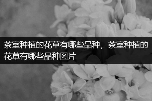 茶室种植的花草有哪些品种，茶室种植的花草有哪些品种图片