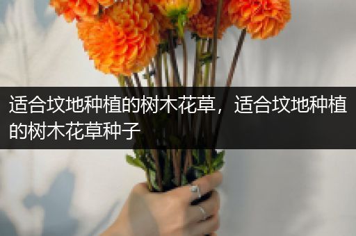 适合坟地种植的树木花草，适合坟地种植的树木花草种子