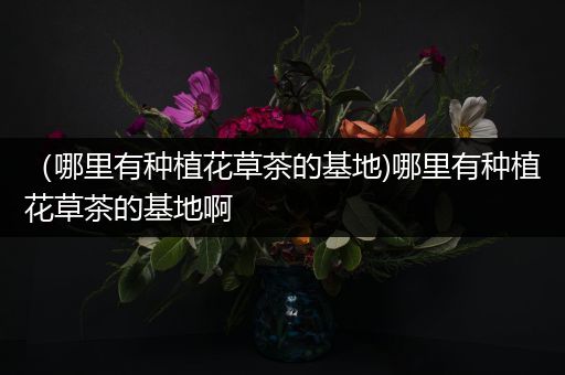 （哪里有种植花草茶的基地)哪里有种植花草茶的基地啊