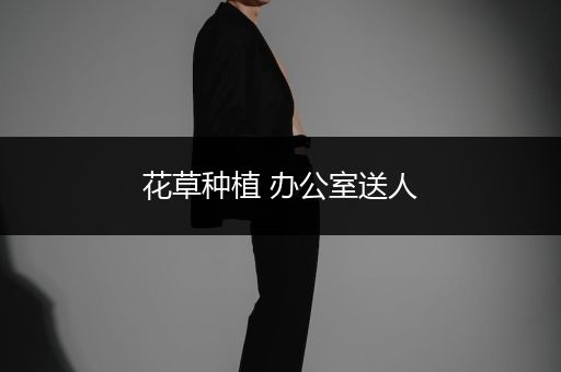 花草种植 办公室送人