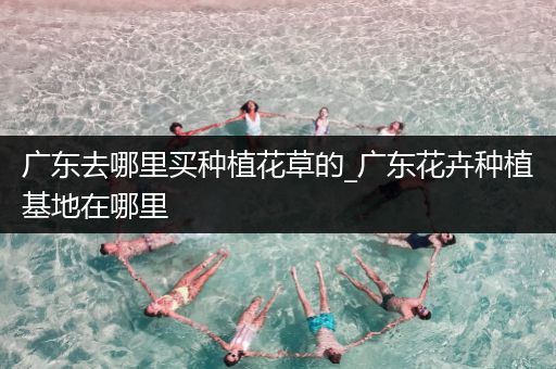 广东去哪里买种植花草的_广东花卉种植基地在哪里